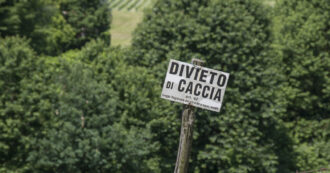 Copertina di Riforma della caccia, lo studio della Lipu: “Cambiano i tempi delle migrazioni, i calendari del governo sono insensati”