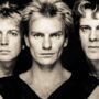 Copertina di Sting citato in giudizio per oltre 2 milioni di dollari di diritti 