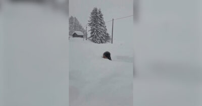 Copertina di Nevicata da record in Svezia: il cumolo di neve supera i due metri e l’uomo ci sprofonda dentro. Il video è virale