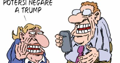 Copertina di La vignetta di Franzaroli