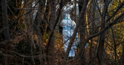 Copertina di Trovata impiccata Annabella Martinelli