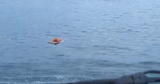 Copertina di Pescatore si salva da un naufragio aggrappandosi alla porta di un frigorifero: recuperato dopo 17 ore alla deriva – Video