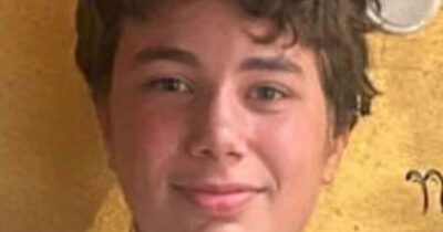 Copertina di Diego Baroni scomparso da Verona. Il telefono del 14enne agganciato a Milano e i video su TikTok