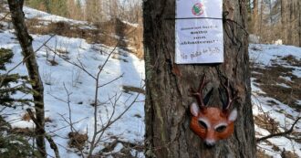 Il costo ecologico di queste Olimpiadi invernali sarà un gioco al massacro