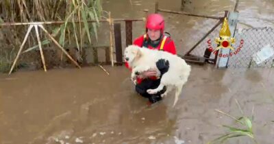 Copertina di Sardegna, in due giorni  cade pioggia di 4 mesi