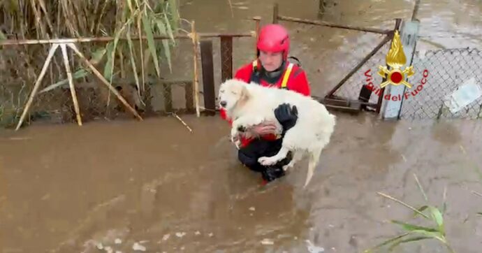 Sardegna, in due giorni  cade pioggia di 4 mesi