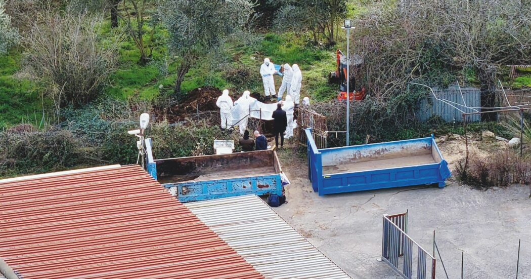 Federica Torzullo uccisa con 23 coltellate Contestato il nuovo reato di femminicidio