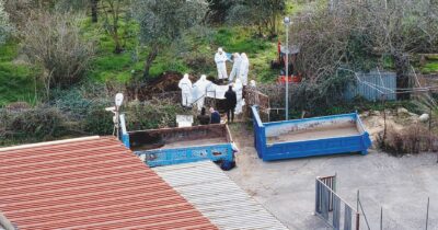 Copertina di Federica Torzullo uccisa con 23 coltellate Contestato il nuovo reato di femminicidio