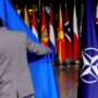 Copertina di Il declino della Nato: dalla “morte cerebrale” al week end di terrore sulla Groenlandia