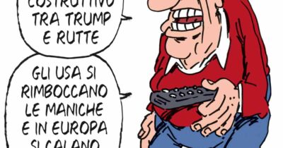 Copertina di La vignetta di Franzaroli