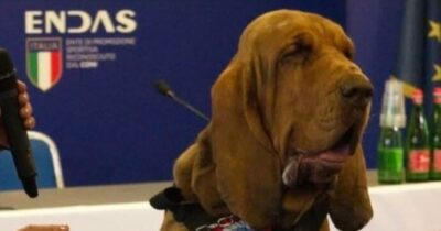 Copertina di “Il cane-eroe Bruno non fu avvelenato”: l’istruttore indagato per simulazione di reato