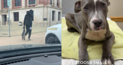 Copertina di Trascina il cane per il collare tanto da in condizioni gravissime: “L’animale era ridotto così male che abbiamo pensato all’eutanasia”