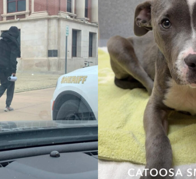 Trascina il cane per il collare tanto da in condizioni gravissime: “L’animale era ridotto così male che abbiamo pensato all’eutanasia”