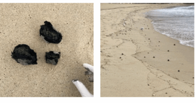 Copertina di Le “palline di cacca” che hanno invaso le spiagge australiane hanno un’orgine precisa (e potrebbero arrivare ancora): ecco cosa succede ora