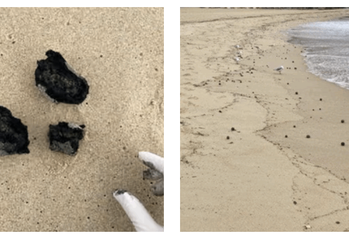 Le “palline di cacca” che hanno invaso le spiagge australiane hanno un’orgine precisa (e potrebbero arrivare ancora): ecco cosa succede ora