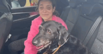 Ritrovato vivo Boro, il cane fuggito dopo il disastro ferroviario di Adamuz. La padrona commossa: “Ora torniamo a casa”