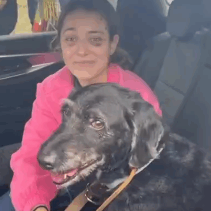 Ritrovato vivo Boro, il cane fuggito dopo il disastro ferroviario di Adamuz. La padrona commossa: “Ora torniamo a casa”