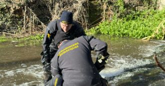 Femminicidio Federica Torzullo, l’ipotesi di un complice che ha aiutato Carlomagno e le ricerche del coltello