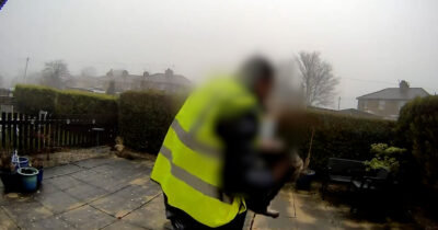 Copertina di Corriere ruba una gatta domestica dal giardino di una casa: la storia che ha commosso lo Yorkshire – Video