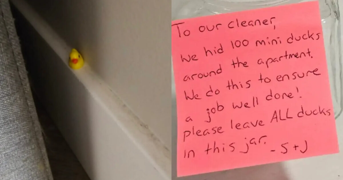 “Siete degli stro*zi. Non si trattano i lavoratori in questo modo”: nascondono 100 paperelle in casa per verificare che la domestica pulisse bene