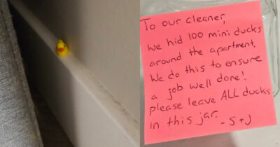 Copertina di “Siete degli stro*zi. Non si trattano i lavoratori in questo modo”: nascondono 100 paperelle in casa per verificare che la domestica pulisse bene