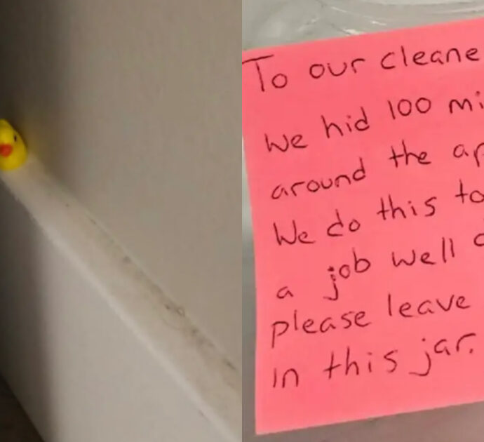“Siete degli stro*zi. Non si trattano i lavoratori in questo modo”: nascondono 100 paperelle in casa per verificare che la domestica pulisse bene