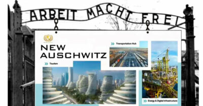 Copertina di La vignetta di Vauro