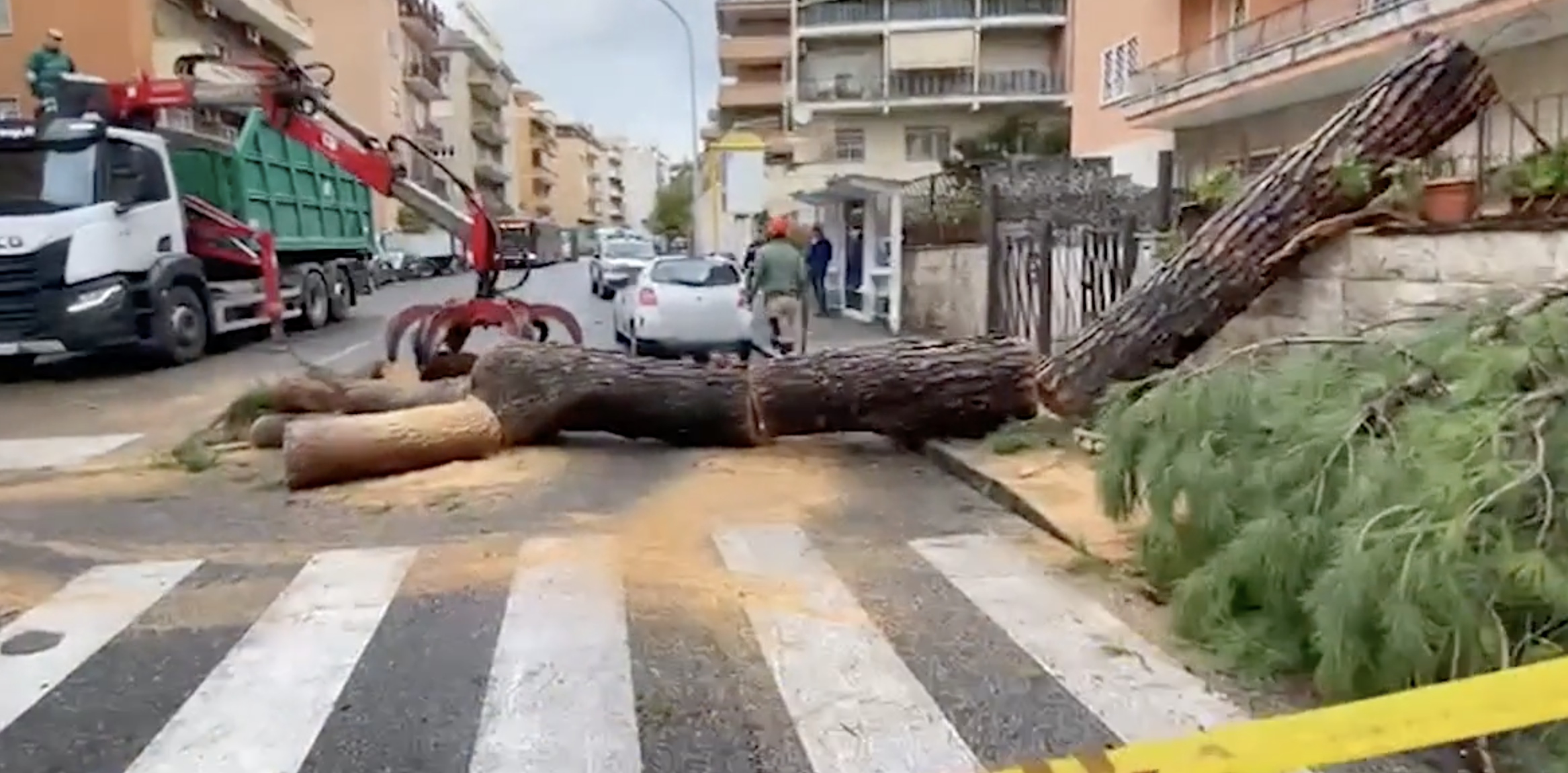 Cade un grosso albero in strada a Roma: colpito un autobus Atac alla Balduina. Nessun ferito Cade un grosso albero in strada a Roma: colpito un autobus Atac alla Balduina. Nessun ferito