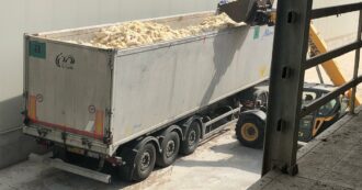 Copertina di Aviaria, abbattimenti di galline ovaiole nel Veronese: dalla Regione 700mila euro solo per i rimborsi del 2022