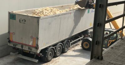 Copertina di Aviaria, abbattimenti di galline ovaiole nel Veronese: dalla Regione 700mila euro solo per i rimborsi del 2022