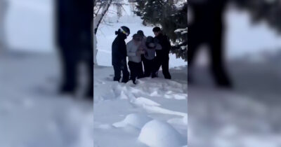 Copertina di Leopardo delle nevi attacca e ferisce al volto una donna: paura per una turista che tornava dalle piste da sci – Video