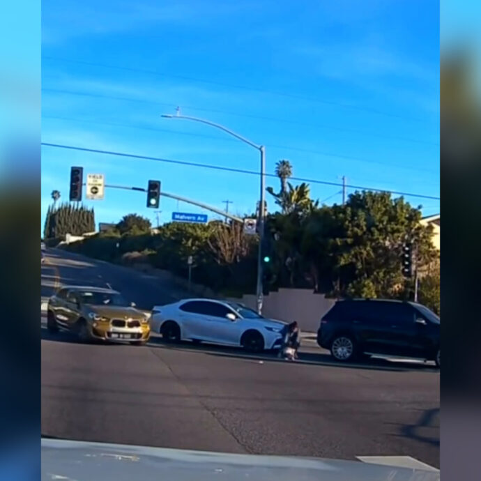 Bambino di un anno cade dall’auto in corsa, la madre inchioda, lo “raccoglie” dall’asfalto e riparte: arrestata – Video