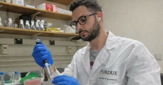 Copertina di “Ho fatto da solo un ordine da migliaia di dollari per il mio laboratorio. Da ricercatore qui prendo il doppio di stipendio”