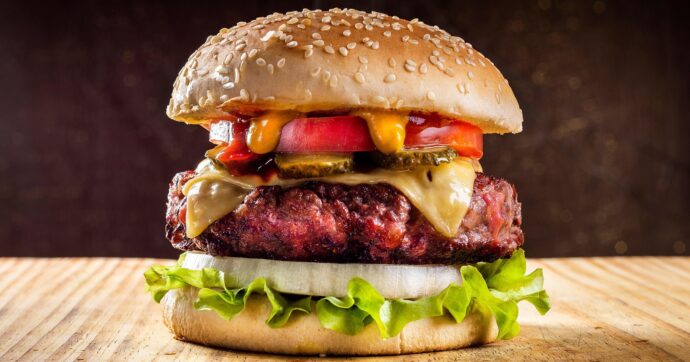 Hamburger nel carrello: nel 30% dei campioni, i batteri trovati sono resistenti agli antibiotici