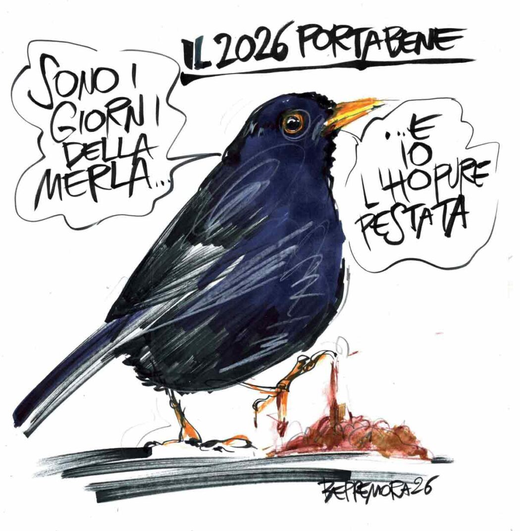 La vignetta di Mora