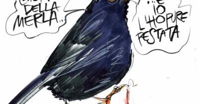 Copertina di La vignetta di Mora