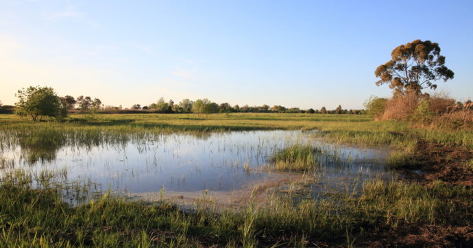 In Italia perso il 75% delle zone umide per l’intervento dell’uomo: il report del Wwf per la Giornata mondiale