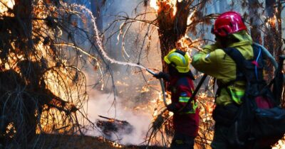 Copertina di Argentina, gli incendi distruggono 36mila ettari di foreste in Patagonia dall’inizio dell’anno. Ma Milei dimezza i fondi per i vigili del fuoco