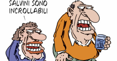 Copertina di La vignetta di Franzaroli