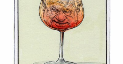 Copertina di La vignetta di Mannelli