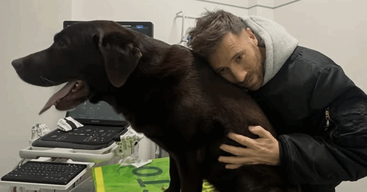 “Sono giorni che il mio labrador Dotto piange, si lamenta, cammina male. Non abbiamo risposte, se qualcuno di voi può sapere qualcosa ci aiuti”: l’appello di Nicolò De Devitiis