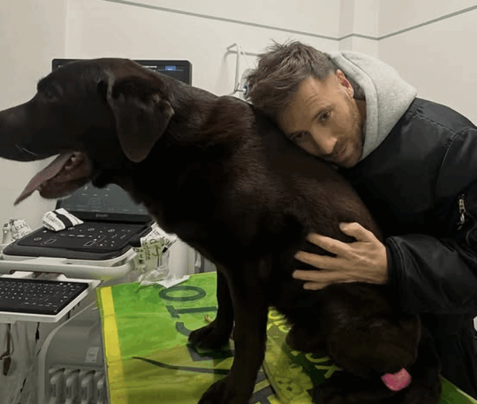 “Sono giorni che il mio labrador Dotto piange, si lamenta, cammina male. Non abbiamo risposte, se qualcuno di voi può sapere qualcosa ci aiuti”: l’appello di Nicolò De Devitiis