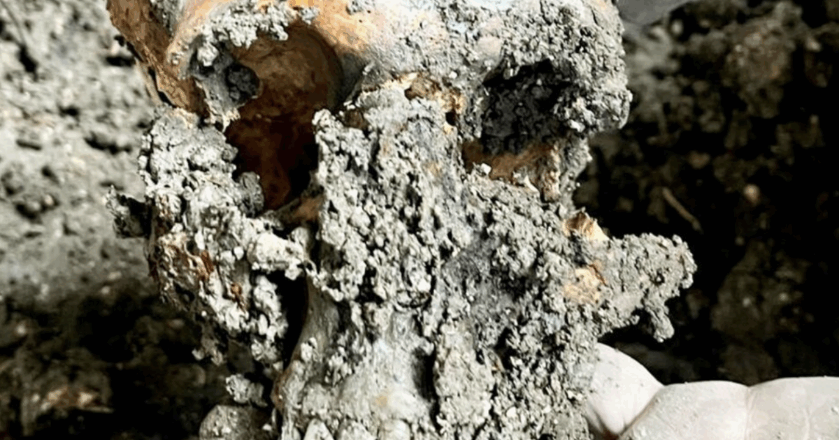 “Abbiamo comprato una chiesa sconsacrata per farne una casa ma sotto il pavimento c’erano 80 scheletri. Abbiamo deciso di lasciarli dove sono”: la storia di Lucy e Thomas Rhys “Abbiamo comprato una chiesa sconsacrata per farne una casa ma sotto il pavimento c’erano 80 scheletri. Abbiamo deciso di lasciarli dove sono”: la storia di Lucy e Thomas Rhys