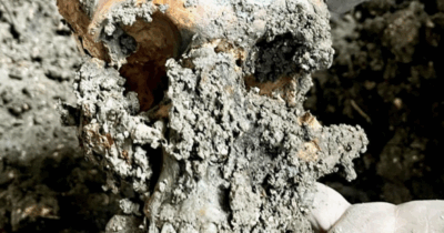 Copertina di “Abbiamo comprato una chiesa sconsacrata per farne una casa ma sotto il pavimento c’erano 80 scheletri. Abbiamo deciso di lasciarli dove sono”: la storia di Lucy e Thomas Rhys