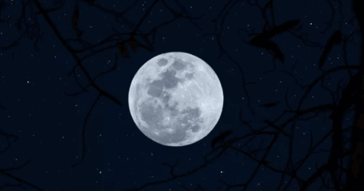 La Luna piena della Neve in Leone raggiunge il suo picco il 1° febbraio: ecco i quattro segni zodiacali più influenzati