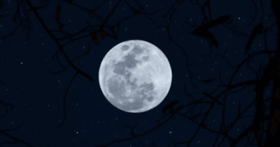 Copertina di La Luna piena della Neve in Leone raggiunge il suo picco il 1° febbraio: ecco i quattro segni zodiacali più influenzati