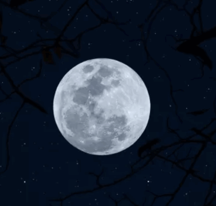 La Luna piena della Neve in Leone raggiunge il suo picco il 1° febbraio: ecco i quattro segni zodiacali più influenzati