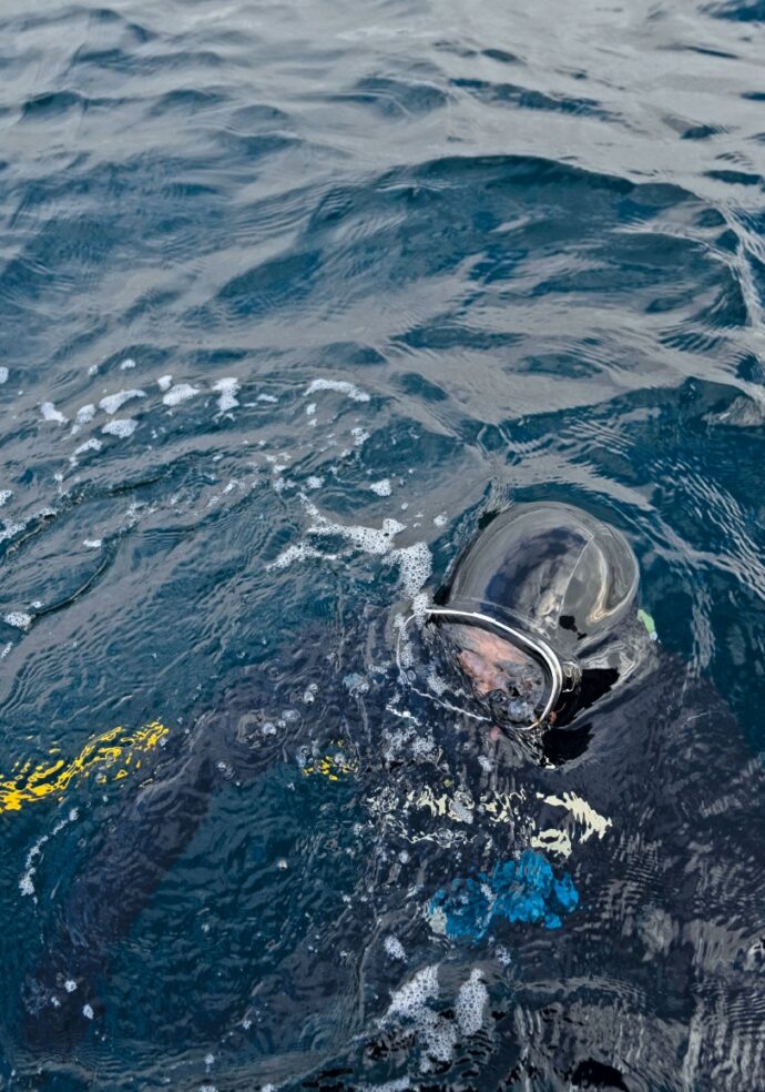 Cile, la strage dei sub in nome del salmone