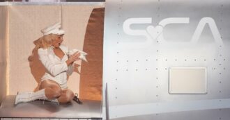 “Portare un uccello vivo è stupido, lento, inutile e crudele”: la rabbia degli animalisti contro Sabrina Carpenter per lo show ai Grammy Awards. Anche Lady Gaga nel mirino