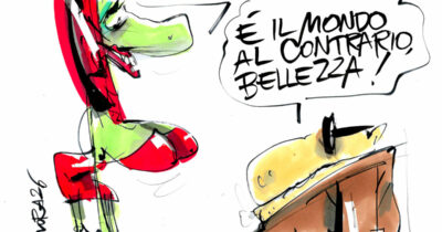 Copertina di La vignetta di Mora